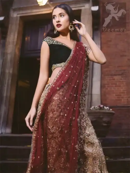 Black Velvet Blouse with Fawn Embroidered Skirt and Deep Red Dupatta