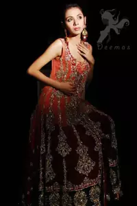 Double Tone Front Open Bridal Gown - Embroidered Sharara