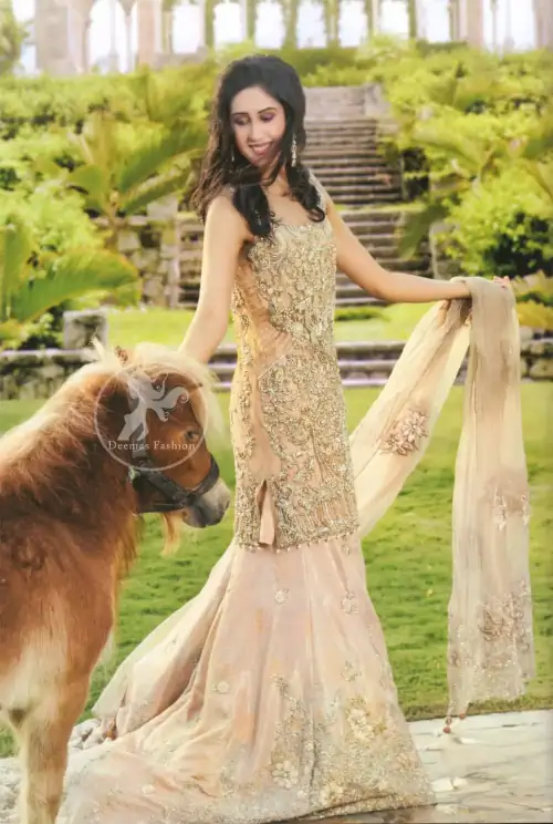 Pale Peach Fully Embroidered Shirt - Back Trail Lehenga - Embroidered Dupatta