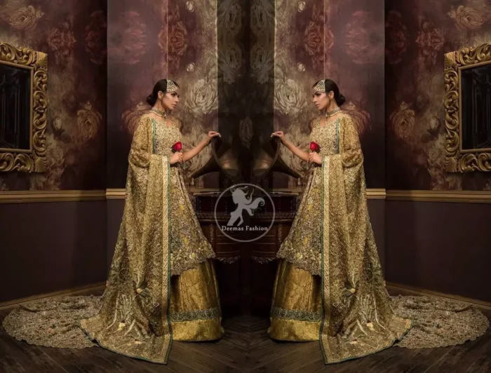 Front open back trail gown comes with lehengha and dupatta.