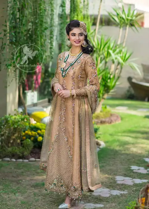 Latest Pakistani Designer Dress 2017 - Peach Party Wear Maxi