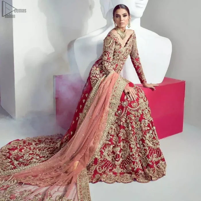 Red Back Train Lehenga Shirt – Tea Rose Dupatta