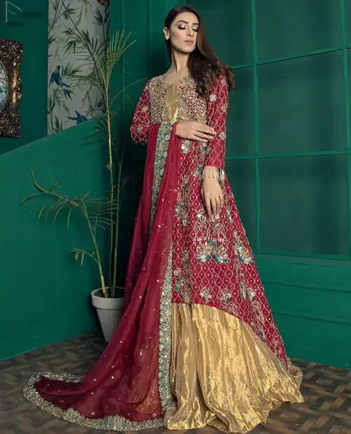 Red Back Train Maxi Dupatta – Golden Sharara