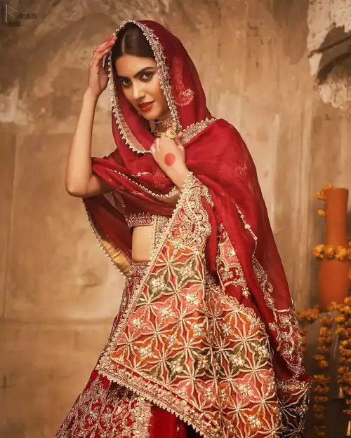 Red Sweetheart Blouse Lehenga Embroidered Dupatta