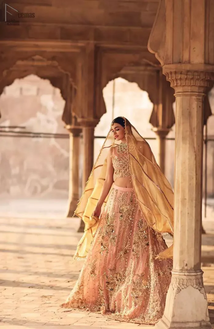 Take all the attention of the guests with your exquisite look with one of the best outfits from Deemas Fashion. Comprising of a peach organza round neckline blouse with complete zardozi work. This exceptionally embellished outfit is organized with a fawn organza dupatta which is sprayed with sequins glorifying its grace. Peach organza lehenga emphasized with floral bunches done with kora, dabka, tilla and sequins work. Making it true that you can turn all the heads around with your gorgeous ability to wear the outfit in a way that is spectacular.