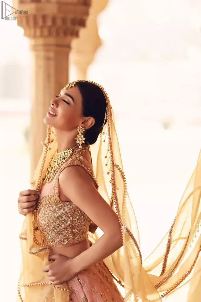 Take all the attention of the guests with your exquisite look with one of the best outfits from Deemas Fashion. Comprising of a peach organza round neckline blouse with complete zardozi work. This exceptionally embellished outfit is organized with a fawn organza dupatta which is sprayed with sequins glorifying its grace. Peach organza lehenga emphasized with floral bunches done with kora, dabka, tilla and sequins work. Making it true that you can turn all the heads around with your gorgeous ability to wear the outfit in a way that is spectacular.