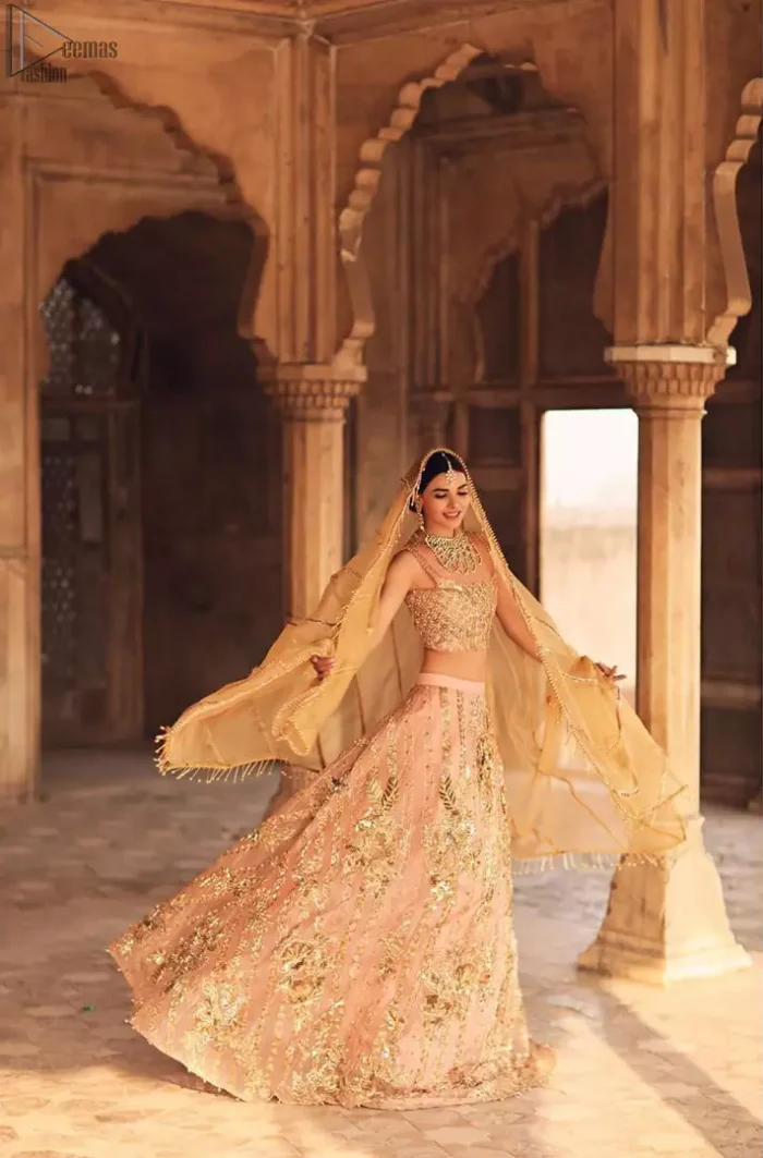 Take all the attention of the guests with your exquisite look with one of the best outfits from Deemas Fashion. Comprising of a peach organza round neckline blouse with complete zardozi work. This exceptionally embellished outfit is organized with a fawn organza dupatta which is sprayed with sequins glorifying its grace. Peach organza lehenga emphasized with floral bunches done with kora, dabka, tilla and sequins work. Making it true that you can turn all the heads around with your gorgeous ability to wear the outfit in a way that is spectacular.