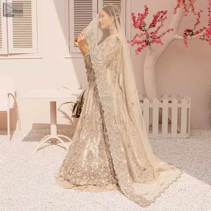 the dress is ornamented remarkably with a can-can style, floral motifs and multiple colour embroidery.