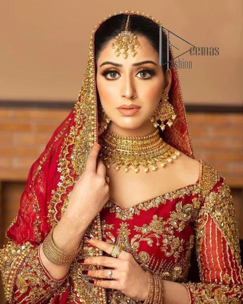 Most girls are excited just to wear maroon amazements. DeemasFashion initiates this Pakistani reception wear which includes a maroon blouse