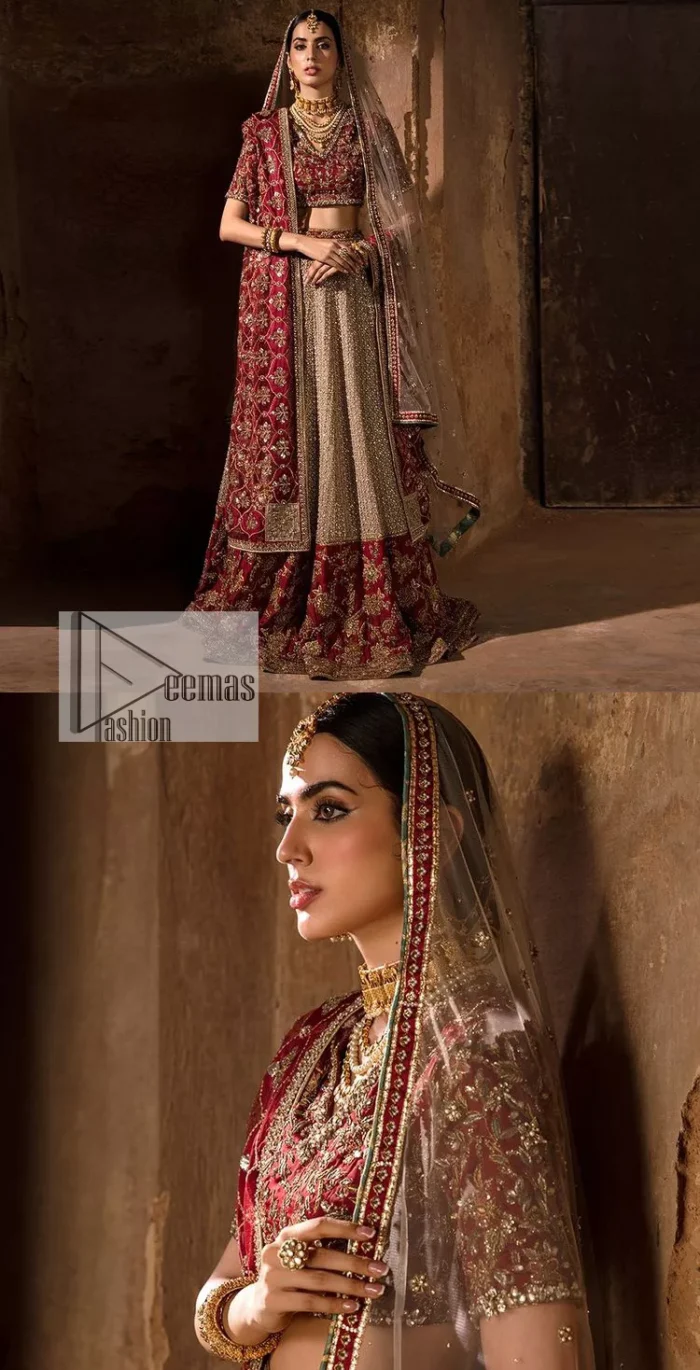 Keep it comfy and attractive with the best DeemasFashion reception wear! A silver flare lehenga encrusted with tilla, dabka, kora, Kundan and pearl work with heavily adorned silver and golden embroidery. The border of the lehenga has a beautiful red border to make it a unique masterpiece. The red blouse with V shape neckline is hand rendered with beautiful embroidery. In addition to this, the following blouse has half sleeves which is a simply stunning wedding dress. The look is completed with a beautiful, red organza dupatta with intricately hand embellished motifs and borders.