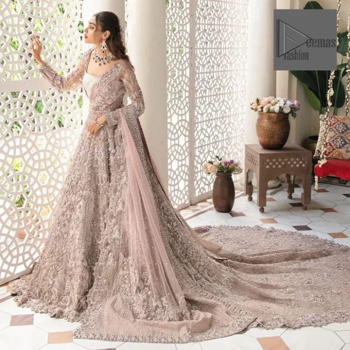 Deemas Fashion tea pink dress is an assortment of celebrations and rituals where luxury plays a significant role. This fully embellished traditional dress makes minimal use of jewelry as its sleeves, back train and huge flare is perfectly enriched with embroidery, so no element of the dress or bride herself is without decoration. 