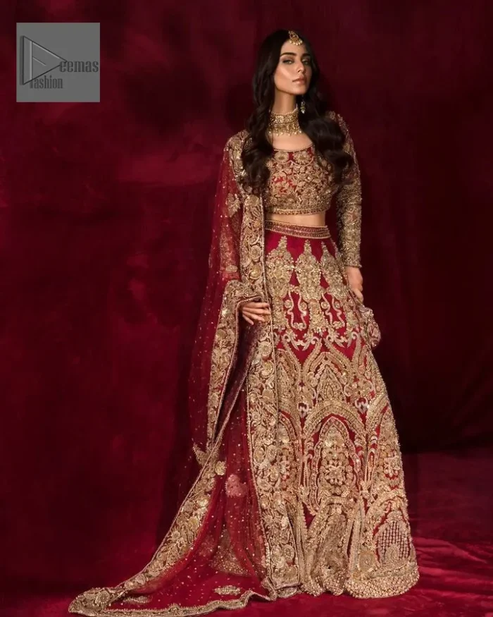 Delicate florals for your convenience to create a truly mesmerizing look! DeemasFashion presents a lehenga choli in a deep red color. The following blouse is beautifully decorated with golden embroidery and enhanced with tilla, dabka, kora, Kundan, and the real magic of Zardozi.