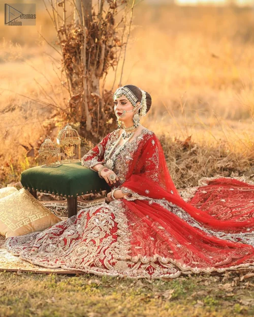 With its dramatic flare and intricate net and organza fabrics, the flowing lehenga creates a stunning, ethereal effect as you