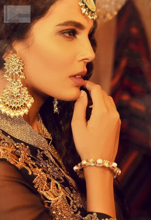 Crafted from pure tissue silk and organza, this creation is perfect for a Pakistani party, blending modern style with classic