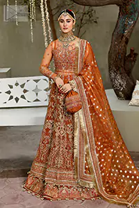 Embrace the spirit of celebration with the Rust Wide Flare Maxi–Lehenga, a mesmerizing ensemble for the mehndi bride.