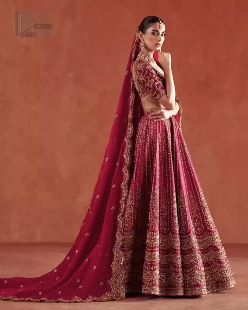 Floral Motif Spray: Detailed view of the scattered tiny floral motifs on the crimson organza dupatta.
